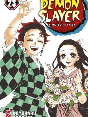 DEMON SLAYER - KIMETSU NO YAIBA  #23